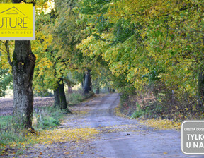 Leśne na sprzedaż, Elbląski Pasłęk Borzynowo, 108 000 zł, 21 600 m2, 552230