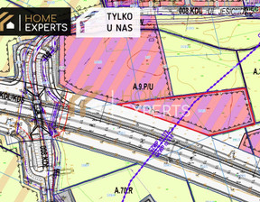 Działka na sprzedaż, Gdański Pruszcz Gdański Przejazdowo Jesionowa, 1 699 000 zł, 12 226 m2, HEX494061306