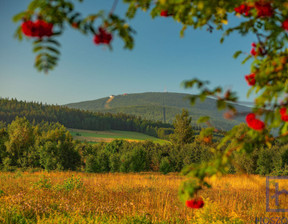 Budowlany na sprzedaż, Lubański Świeradów-Zdrój, 188 000 zł, 800 m2, 530399