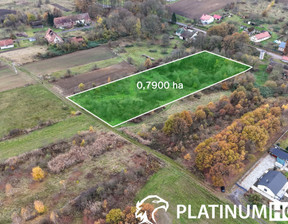 Działka na sprzedaż, Zielonogórski Nowogród Bobrzański Kotowice, 99 000 zł, 7900 m2, PH419219