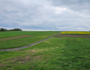 Rolny na sprzedaż, Krakowski Sułoszowa Wielmoża, 199 000 zł, 8000 m2, SMK-GS-6124