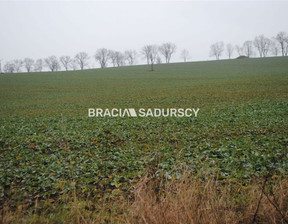 Rolny na sprzedaż, Lubiński Ścinawa, 2 800 000 zł, 600 000 m2, BS1-GS-273821