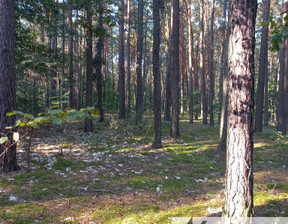 Działka na sprzedaż, Pruszkowski Raszyn Sękocin-Las, 1 000 000 zł, 2100 m2, 8907/3098/OGS