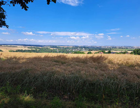 Działka na sprzedaż, Krakowski Iwanowice Iwanowice Dworskie, 65 000 zł, 5600 m2, 729