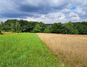 Rolny na sprzedaż, Krakowski Skała Świnczów, 79 000 zł, 700 m2, 736