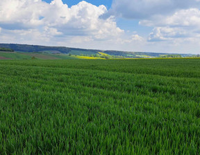 Działka na sprzedaż, Krakowski Skała Przybysławice, 80 000 zł, 3400 m2, 747