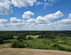 Działka na sprzedaż, Wągrowiecki (pow.) Skoki (gm.) Potrzanowo Włókna, 235 000 zł, 26 700 m2, 47