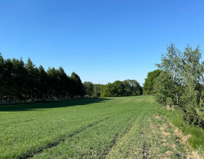 Działka na sprzedaż, Mikołowski (Pow.) Łaziska Górne, 1 650 000 zł, 6601 m2, 321