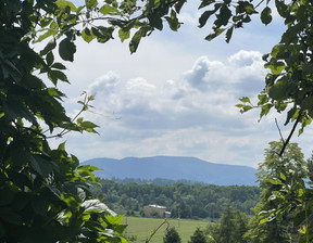 Budowlany na sprzedaż, Cieszyński (pow.) Goleszów (gm.) Goleszów, 125 000 zł, 1010 m2, 221