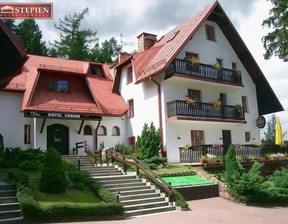 Dom na sprzedaż, Karkonoski Karpacz Skalne, 7 500 000 zł, 4000 m2, SS-25811-2