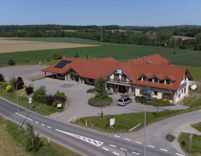 Hotel na sprzedaż, Dzierżoniowski Niemcza Jasin, 3 690 000 zł, 1146 m2, 395370100