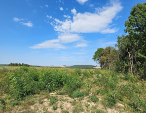 Rolny na sprzedaż, Miechowski Racławice, 90 000 zł, 11 100 m2, 45054/3877/OGS