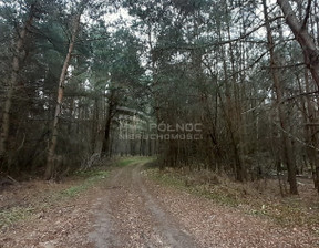 Leśne na sprzedaż, Chełmski Dubienka, 50 000 zł, 18 700 m2, 41342/3877/OGS