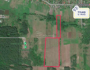 Rolny na sprzedaż, Kielecki Daleszyce Szczecno, 545 000 zł, 90 700 m2, 44426/3877/OGS