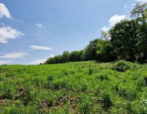 Budowlany na sprzedaż, Kraków M. Kraków Prądnik Biały Tonie, 12 000 000 zł, 13 900 m2, PAC-GS-7544-4