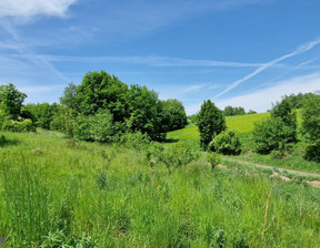 Budowlany na sprzedaż, Krakowski Krzeszowice Nowa Góra, 120 000 zł, 600 m2, PAC-GS-7290-6