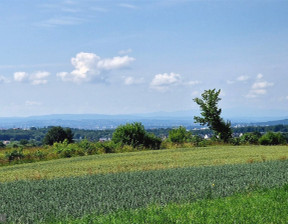 Działka na sprzedaż, Krakowski Zielonki Bibice, 7 875 000 zł, 17 440 m2, PAC-GS-7750-1