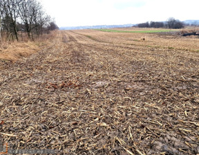 Rolny na sprzedaż, Kraków M. Kraków Prądnik Biały Witkowice, 1 000 000 zł, 1909 m2, PAC-GS-7664-1