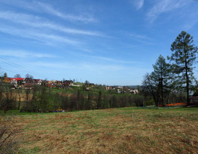 Handlowo-usługowy na sprzedaż, Tatrzański Bukowina Tatrzańska, 485 000 zł, 2600 m2, 12