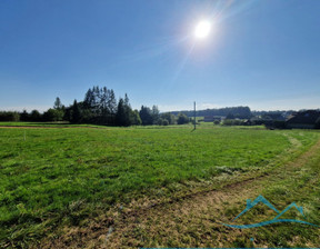 Działka na sprzedaż, Karkonoski Jeżów Sudecki Dziwiszów, 230 000 zł, 1231 m2, 41