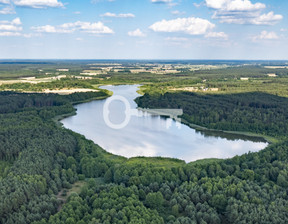 Rolny na sprzedaż, Lipnowski Skępe Likiec, 9 500 000 zł, 767 400 m2, 666657