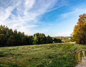 Budowlany na sprzedaż, Myślenicki Myślenice Krzyszkowice, 1 040 000 zł, 6500 m2, 31/8850/OGS