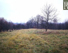 Działka na sprzedaż, Wielicki Wieliczka Lednica Górna, 515 000 zł, 3700 m2, 32665