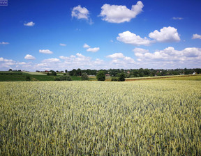 Działka na sprzedaż, Krakowski Kocmyrzów-Luborzyca Kocmyrzów, 260 000 zł, 8800 m2, 31703