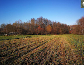 Działka na sprzedaż, Krakowski Mogilany Lusina, 3 799 000 zł, 8900 m2, 32664