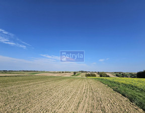 Działka na sprzedaż, Krakowski Skała Szczodrkowice, 400 000 zł, 5300 m2, 32358