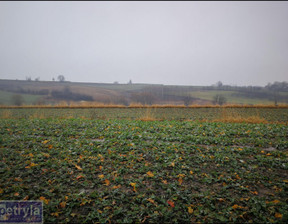 Działka na sprzedaż, Krakowski Kocmyrzów-Luborzyca Kocmyrzów, 1 100 000 zł, 31 000 m2, 32394