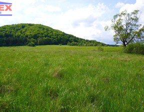 Działka na sprzedaż, Gorlicki (pow.) Uście Gorlickie (gm.) Hańczowa, 230 000 zł, 10 000 m2, 42506b