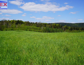 Leśne na sprzedaż, Gorlicki (Pow.) Lipinki (Gm.) Lipinki, 11 000 zł, 3100 m2, 42567