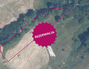 Działka na sprzedaż, Nowosądecki Piwniczna-Zdrój Młodów, 85 000 zł, 1500 m2, 5685/MKN/DZS-276663