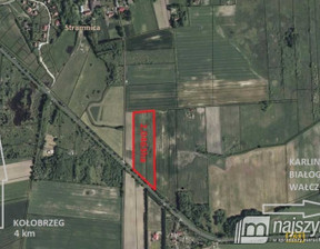 Budowlany na sprzedaż, Kołobrzeski Kołobrzeg Stramnica Centrum, 300 200 zł, 3002 m2, 5835/MKN/DZS-277744