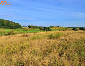 Działka na sprzedaż, Myśliborski Myślibórz Ławy, 120 000 zł, 1500 m2, DAW306303-306303