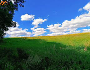 Działka na sprzedaż, Obornicki Oborniki Kiszewo, 449 000 zł, 15 000 m2, ZUPA305928-306322