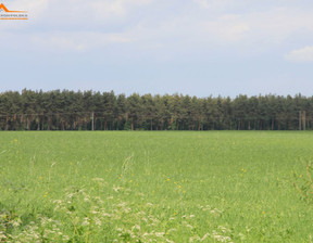 Rolny na sprzedaż, Kamieński Wol Chynowo, 1 999 000 zł, 250 000 m2, SADI306206-306206
