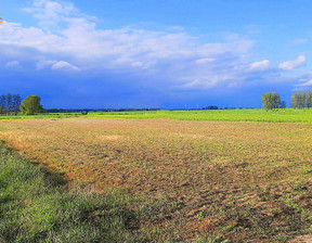 Budowlany na sprzedaż, Kamieński Kamień Pomorski Chrząszczewo, 169 000 zł, 956 m2, PATTY306280-306367