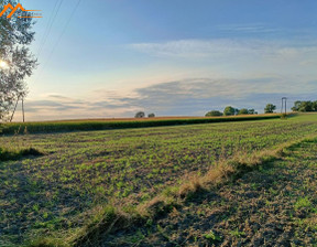 Działka na sprzedaż, Szamotulski Duszniki Mieściska, 240 000 zł, 3050 m2, ABWH306290-306367