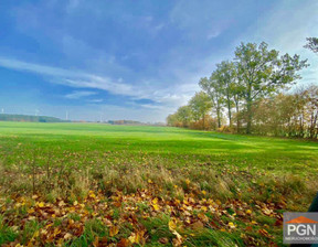 Działka na sprzedaż, Łobeski Resko Resko Okolica, 32 000 zł, 10 200 m2, OFN306997-306997