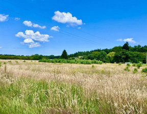 Działka na sprzedaż, Kamieński Wolin Domysłów, 269 000 zł, 1950 m2, FER2025306254-306254