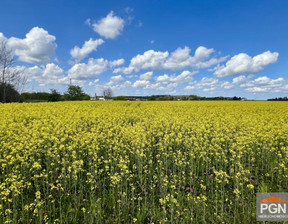 Działka na sprzedaż, Kamieński Golczewo, 250 000 zł, 3005 m2, WRZ092024306323-306323