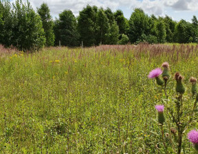 Rolny na sprzedaż, Gryficki Gryfice Gryfice Okolica, 156 000 zł, 1500 m2, SLS024306586-306586