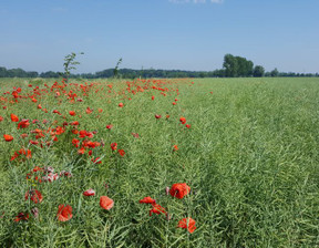 Działka na sprzedaż, Gryficki Trzebiatów Trzebiatów Okolica, 166 000 zł, 2316 m2, OFN306843-306843