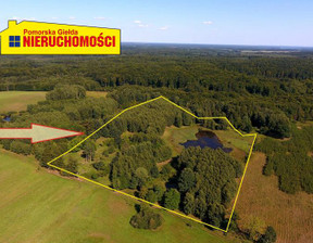 Działka na sprzedaż, Szczecinecki Grzmiąca Przeradz działki, 360 000 zł, 43 278 m2, 0506155