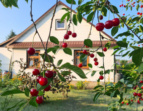 Dom na sprzedaż, Hajnowski (pow.) Narew (gm.) Narew Bielska, 399 000 zł, 87 m2, 2008