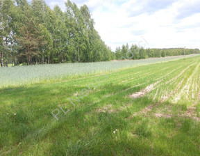 Rolny na sprzedaż, Miński Chełst, 92 000 zł, 11 390 m2, G-11666-13