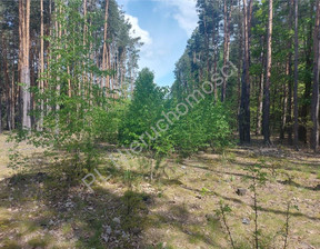 Leśne na sprzedaż, Miński Strugi Krzywickie, 88 000 zł, 9500 m2, G-78999-13