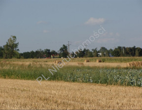 Działka na sprzedaż, Miński Wielgolas Duchnowski, 1 540 000 zł, 16 000 m2, G-10994-13